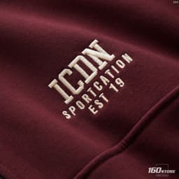 Áo Sweatshirt Nỉ Nam ICONDENIM Camber Form Regular SWID0264 9