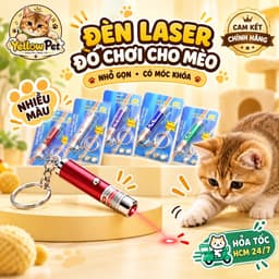 Đèn Laser Đồ Chơi Cho Mèo Cầm Tay Kèm Móc Khóa Nhiều Màu | Yellow Pet 1