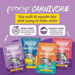 Pate Pramy Carnivore 70g Cho Mèo – Gravy Và Jelly, Có Taurine Và FOS – Combo 3–6 Gói | Yellow Pet 4