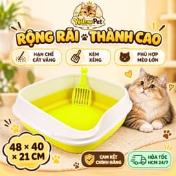 Khay Cát Vệ Sinh Cho Mèo Kèm Xẻng Size Lớn 48 x 40 x 21cm | Yellow Pet 1