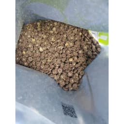 Hạt Cho Mèo SC S2 Vị Bò Bồ Câu Phủ Ruốc Thịt Không Ngũ Cốc 1.5kg | Yellow Pet 3