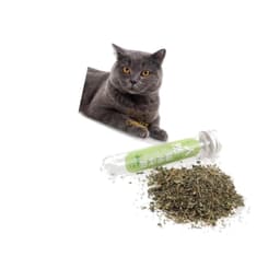 Cỏ Mèo Bạc Hà Catnip Dạng Ống 45ml Cho Mèo | Yellow Pet 4