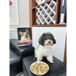 Hạt S2Pet T1 Cho Cún 1kg, Bổ Sung Vitamin Và Chất Xơ | Yellow Pet 5