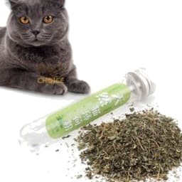 Cỏ Mèo Bạc Hà Catnip Dạng Ống 45ml Cho Mèo | Yellow Pet 6