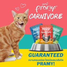 Pate Pramy Carnivore 70g Cho Mèo – Gravy Và Jelly, Có Taurine Và FOS – Combo 3–6 Gói | Yellow Pet 2