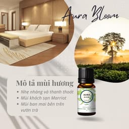 Tinh Dầu Trà Trắng 100ml Aura Bloom Thiên Nhiên Nguyên Chất Nhập Khẩu 3