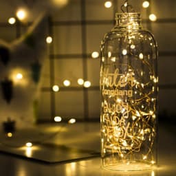 Dây Đèn Led Trang Trí Fairylight Đom Đóm có sẵn pin 2