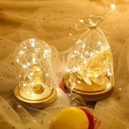 Dây Đèn Led Trang Trí Fairylight Đom Đóm có sẵn pin 5