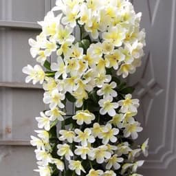 Chùm hoa đỗ quyên dáng rủ treo tường siêu xinh....   .... 3