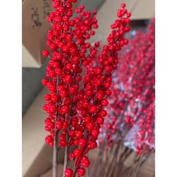 Đào đông 12 nhánh, táo đồng, tim đồng, công đồng, rẻ quạt đồng - những cây cảnh độc đáo cho không gian sống. 2