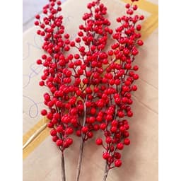 Đào đông 12 nhánh, táo đồng, tim đồng, công đồng, rẻ quạt đồng - những cây cảnh độc đáo cho không gian sống. 1