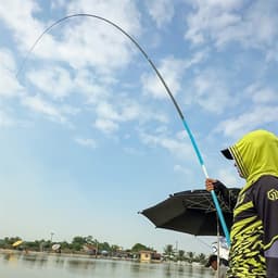 Cần Câu GUF Vương Điểu 4