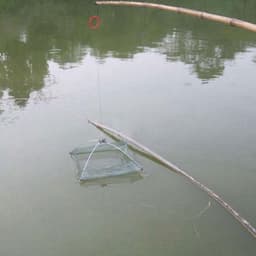 Vó , lồng bắt tôm bắt tép hiệu quả 3