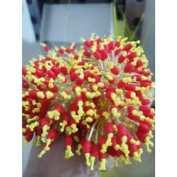 Dây Dù PE Độ Đầu Cần Chống Nổ Săn Hàng Câu Đài 2