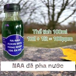 NAA Kích Ra Rễ Giâm Chiết Cành 100ml). Hàng được các hãng cây cảnh khuyên dùng. 8