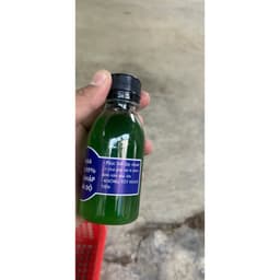 NAA Kích Ra Rễ Giâm Chiết Cành 100ml). Hàng được các hãng cây cảnh khuyên dùng. 3