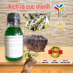 Siêu Tốt -Phân bón lá NAA 1ml 100ppm kích rễ cây cực mạnh 100ml 1