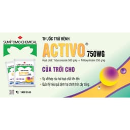 ACTIVO 750WG 10gr sumitomo 4
