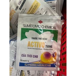 ACTIVO 750WG 10gr sumitomo 6