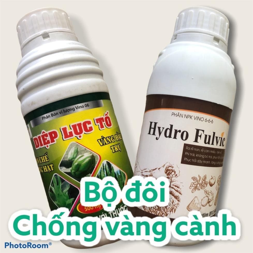 BỘ ĐÔI chống vàng cành, vàng lá.