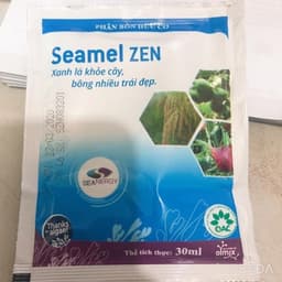 Tảo biển đỏ - hàng nhập Pháp. Phát triển cây 1