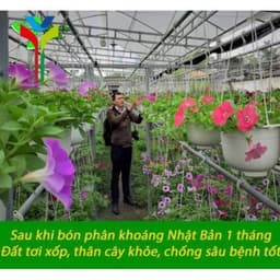 PHÂN BÓN HỮU CƠ  ORGANIC (1kg) Nhập khẩu PHÁP 1