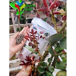 PHÂN BÓN HỮU CƠ  ORGANIC (1kg) Nhập khẩu PHÁP 3