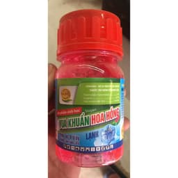 KHUẨN HOA HỒNG PHÒNG BÊNH CHO CÂY CẢNH VÀ PHONG LAN 2