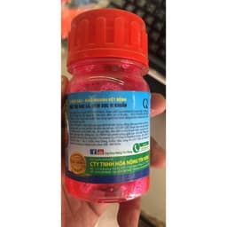 KHUẨN HOA HỒNG PHÒNG BÊNH CHO CÂY CẢNH VÀ PHONG LAN 1
