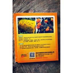Bẫy ruồi vàng, ruồi đục trái dạng miếng-Nguyễn Trí 1