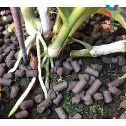 Phân trùn quế viên nén 1kg bổ sung thêm Trichoderma phân giải xenlulo 3