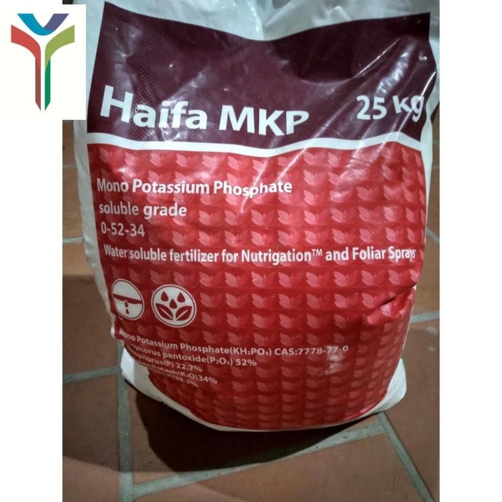 500 gam - 1kg phân bón MKP 0-52-34  Haifa-Israel KH2PO4 NGUYENTRI