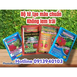 Giải bó trái Thanh long 25gr - hiệu quả trong 7 ngày 1