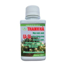 GA-SA THANH HÀ - TRỊ TUYẾN TRÙNG  – PHỤC HỒI THANH LONG SAU THU HOẠCH 2