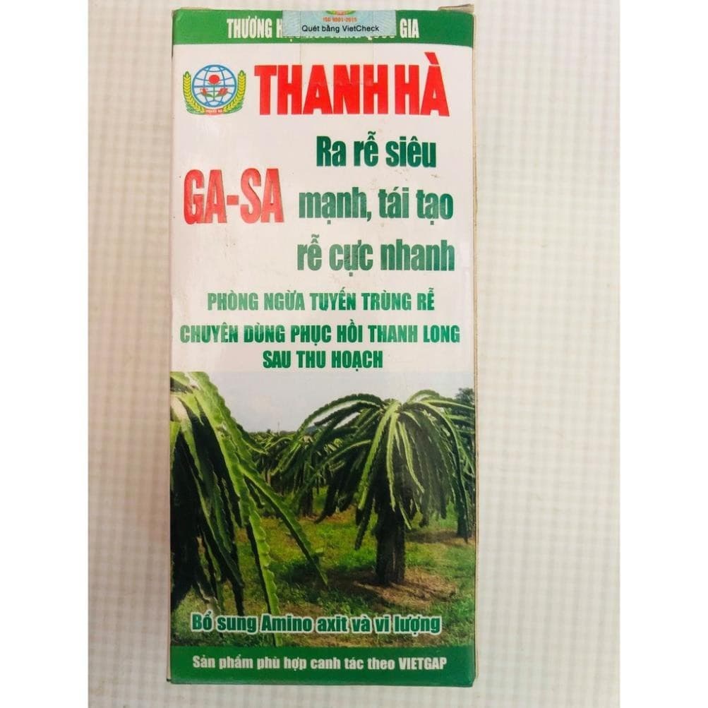 GA-SA THANH HÀ - TRỊ TUYẾN TRÙNG  – PHỤC HỒI THANH LONG SAU THU HOẠCH