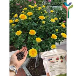 Phân hữu cơ khoáng Nhật nhập khẩu nguyên bao 20KG - bổ sung Humic (gói 1kg) túi ZIP 1