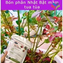 Phân hữu cơ khoáng Nhật nhập khẩu nguyên bao 20KG - bổ sung Humic (gói 1kg) túi ZIP 7