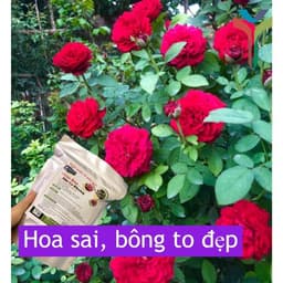 Phân hữu cơ khoáng Nhật nhập khẩu nguyên bao 20KG - bổ sung Humic (gói 1kg) túi ZIP 3
