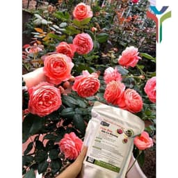 Phân hữu cơ khoáng Nhật nhập khẩu nguyên bao 20KG - bổ sung Humic (gói 1kg) túi ZIP 6