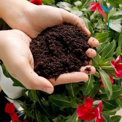 1Kg Đất sạch vi sinh siêu dinh dưỡng diệt trùng kháng khuẩn cực tốt chuyên dùng trồng Rau củ quả sạch - Cây cảnh - Hoa
