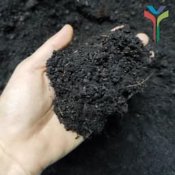1Kg Đất sạch vi sinh siêu dinh dưỡng diệt trùng kháng khuẩn cực tốt chuyên dùng trồng Rau củ quả sạch - Cây cảnh - Hoa 2