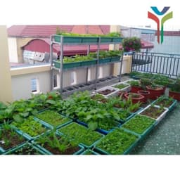 1Kg Đất sạch vi sinh siêu dinh dưỡng diệt trùng kháng khuẩn cực tốt chuyên dùng trồng Rau củ quả sạch - Cây cảnh - Hoa 3