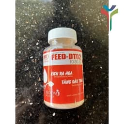DT02 KÍCH RA HOA, ĐẬU TRÁI 100G CÔNG TY ĐIỀN TRANG 2