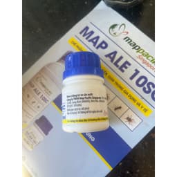 Muỗi, Ruồi, Kiến, Gián trong nhà, không mùi MAP ALE 50ml 4