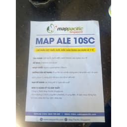 Muỗi, Ruồi, Kiến, Gián trong nhà, không mùi MAP ALE 50ml 3