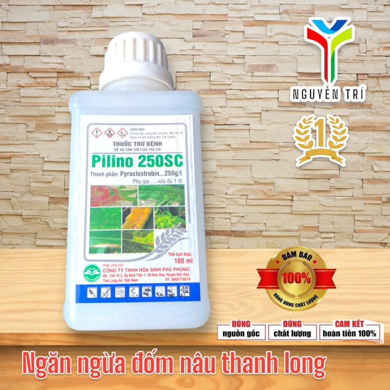 SIÊU TỐT - Đặc trị đốm nâu, tắc kè bệnh trên cây thanh long
