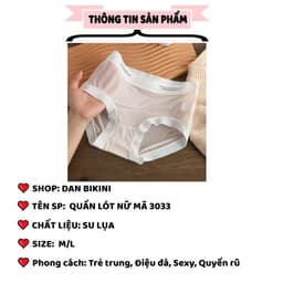 Quần Lót Nữ DANBIKINI - Quần lót tàng hình chất liệu su lụa comfor mẫu 3033 2