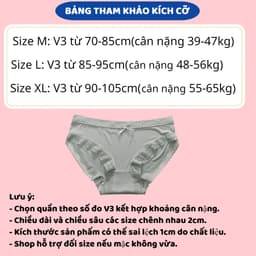 Quần Lót Nữ Su Lụa Siêu Mỏng Không lộ viền co giãn phối ren hoa thoáng mát gợi cảm MÃ 1271 3