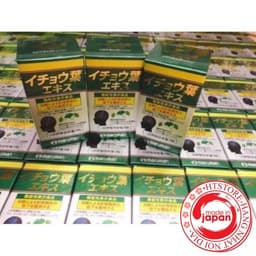 [Hàng chuẩn Auth] Viên uống tiền đình, bổ não DHA Ginkgo Maruman Nhật 2