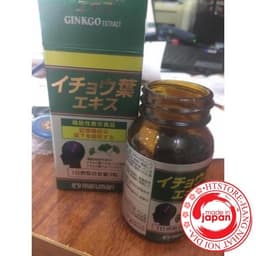 [Hàng chuẩn Auth] Viên uống tiền đình, bổ não DHA Ginkgo Maruman Nhật 6
